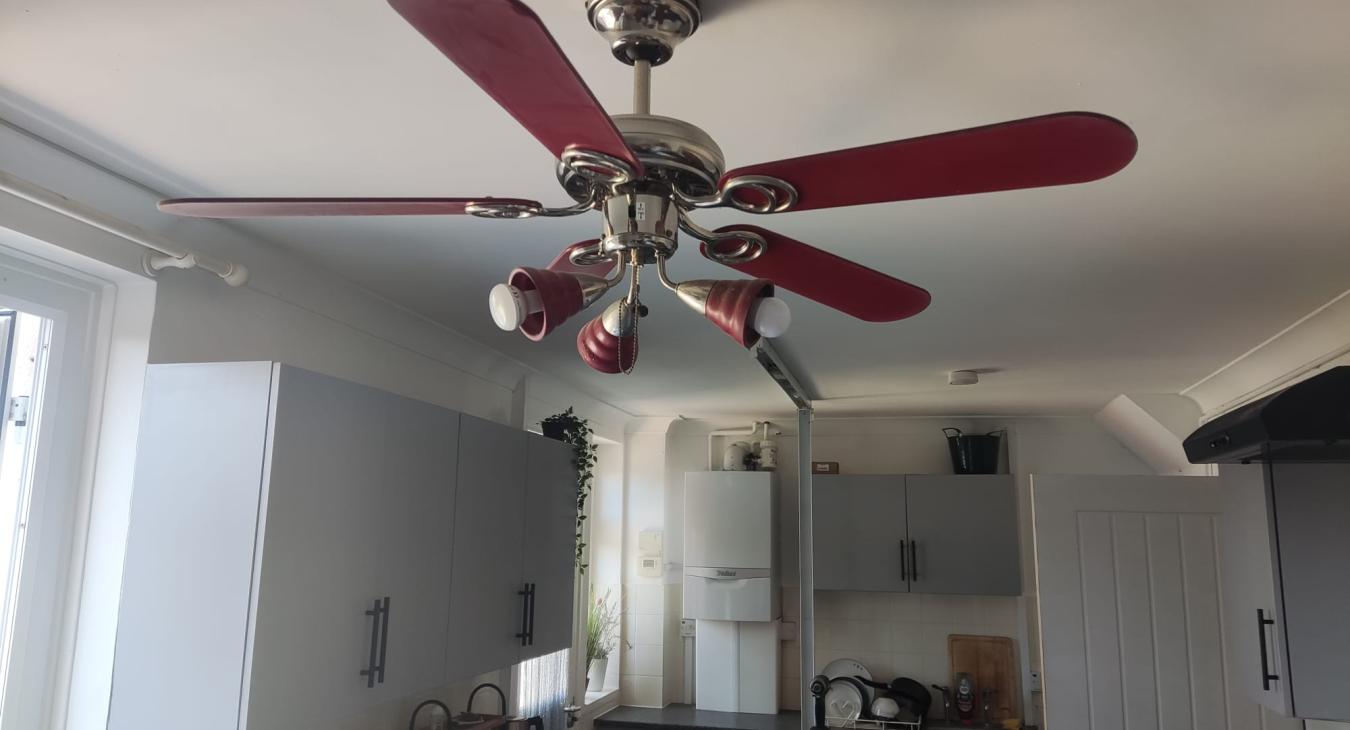 Ceiling fan install in Southampton